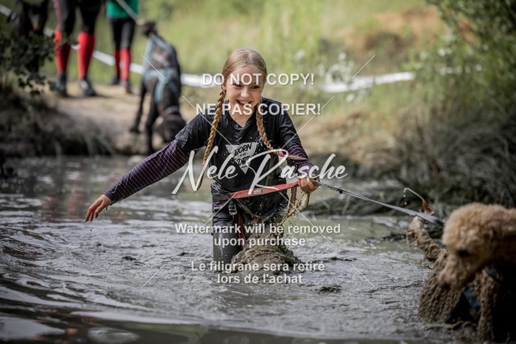 nelerasche_so0800-0930_52 | nelerasche
