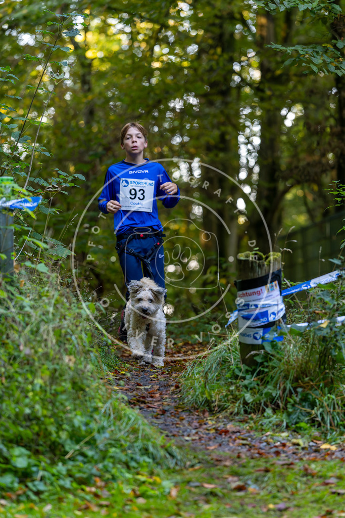 Pfotenfotografie_DV3A7708 | Hundefotografie, Tierfotograf, Pfotenfotografie, Fotoshooting Hund, Hunde Portrait, Hundesport, Hundeportraits, Heideshooting, Hunde, Sportfotograf, Hundefotograf, Turnierhundsport, THS,  - Realisiert mit Pictrs.com