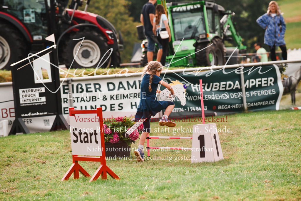 DSC_4700 | Pferde- und Turnierfotografie in Westsachsen. Pferdeportraits, Auftragszeichnungen und intuitive Kunst.