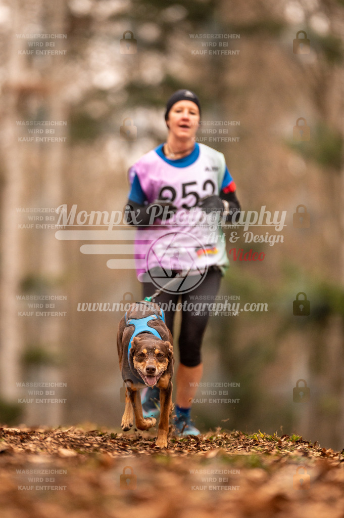 AKM_ST_2023_SAM_Run-125 | PayLife