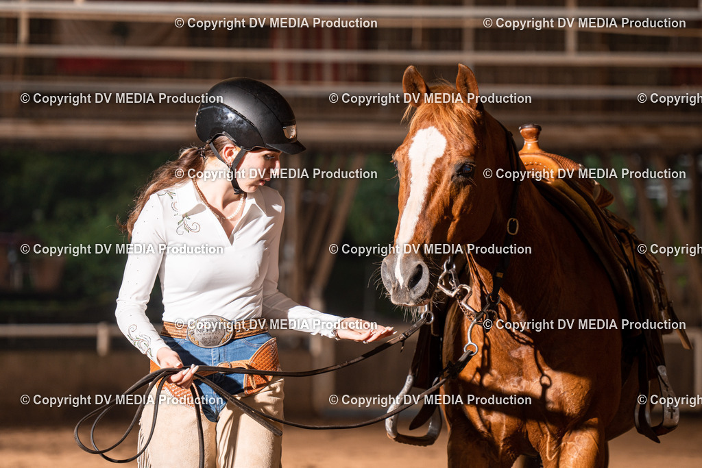 Erbach Tag 3-835 | dv-media-shop - Realisiert mit Pictrs.com