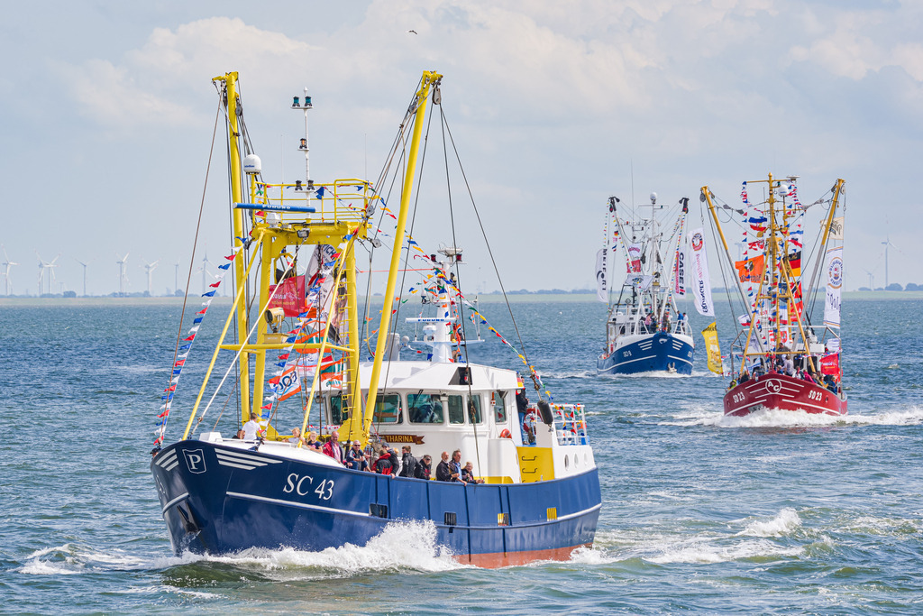 Kutterregatta Parade | Nach der Kutterregatta fahren die Kutter auf den Hafen von Büsum zu. Die Kutter hatten an der Wettfahrt um das Blaue Band teilgenommen. - Realisiert mit Pictrs.com