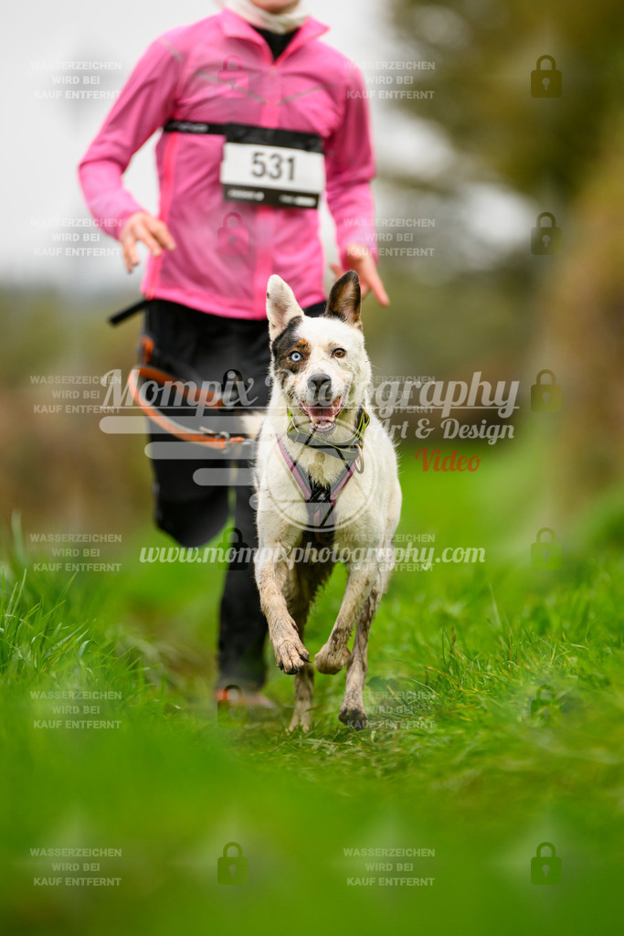MompixPhotography_20TSB_E8_Run-176 | PayLife