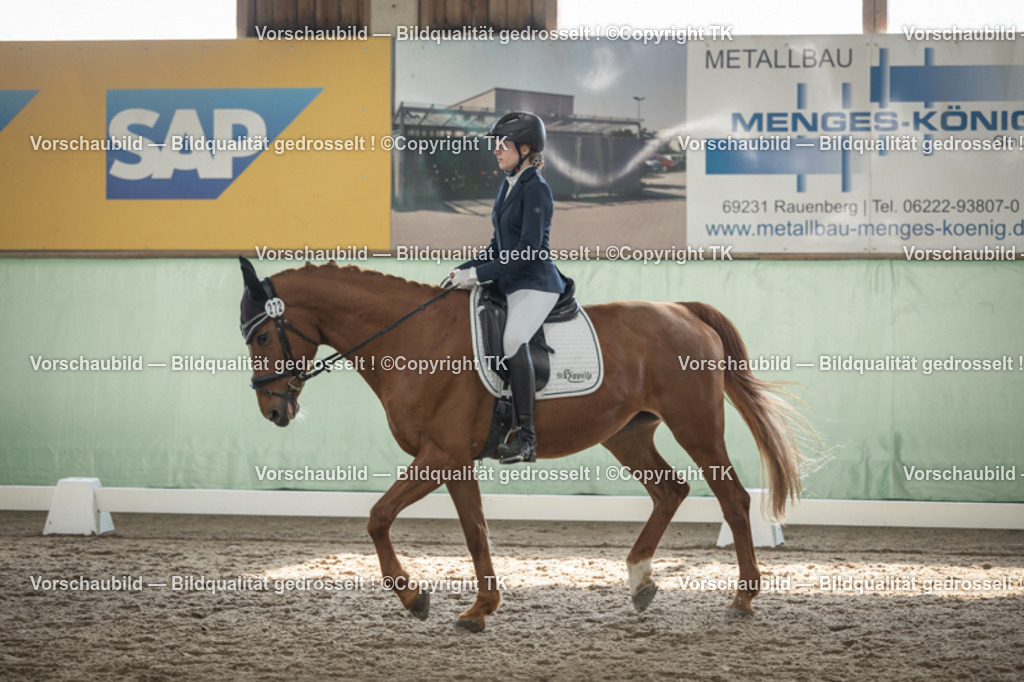 _D5A5733 | Emotionale Pferde- & People-Fotografie rund um Heidelberg, Leimen & Umgebung. Natürliche Fotos von Pferd, Mensch & Familie. Jetzt Termin sichern!