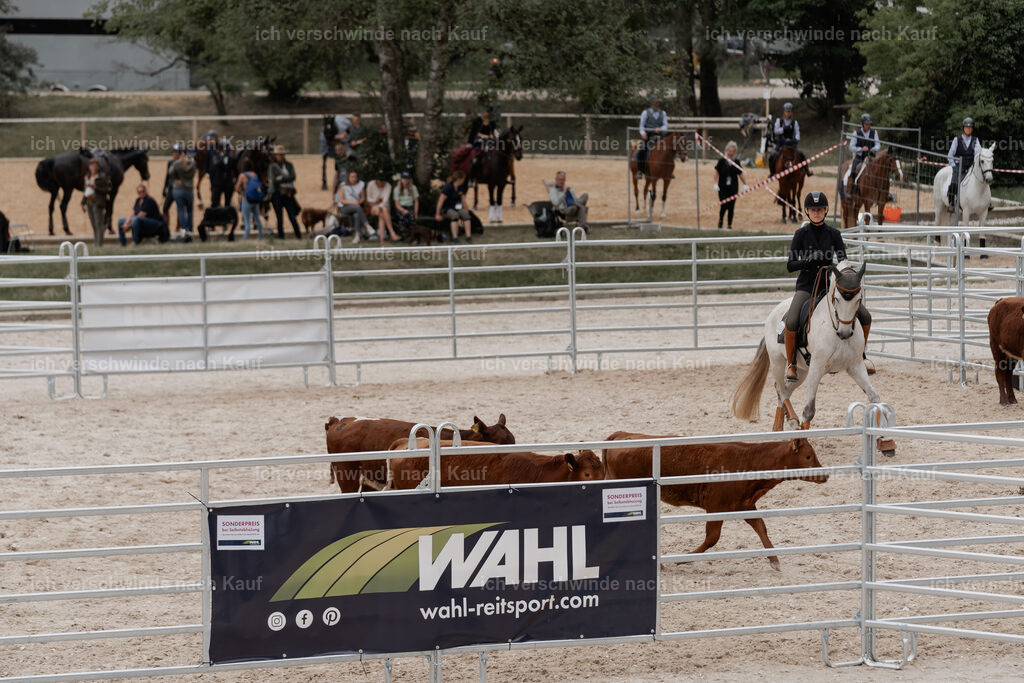 WE__Stoib_Rinder_PI2025_3101 | Pferd International München 2025