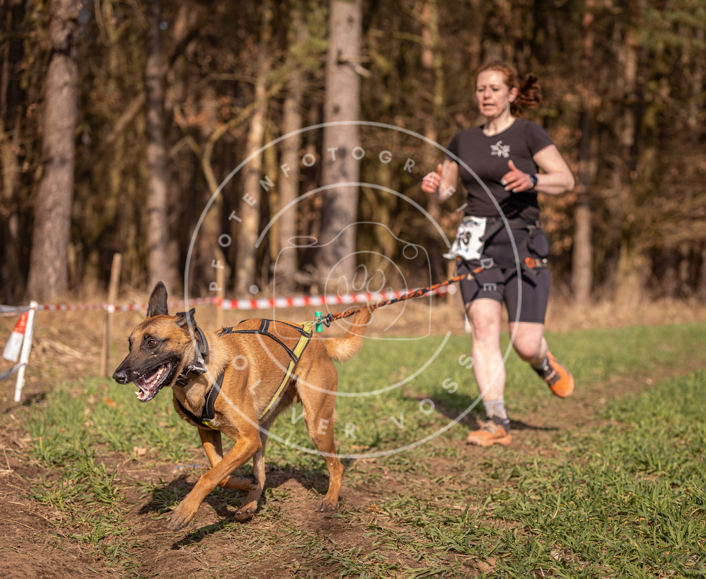 DV3A6425 | Hundefotografie, Tierfotograf, Pfotenfotografie, Fotoshooting Hund, Hunde Portrait, Hundesport, Hundeportraits, Heideshooting, Hunde, Sportfotograf, Hundefotograf, Turnierhundsport, THS,  - Realisiert mit Pictrs.com