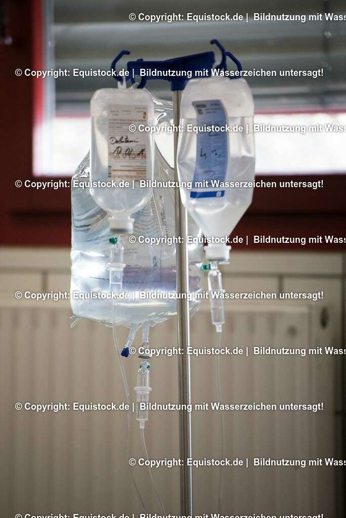 20160309_Sehnenschnitt_OP__0002 | equistock