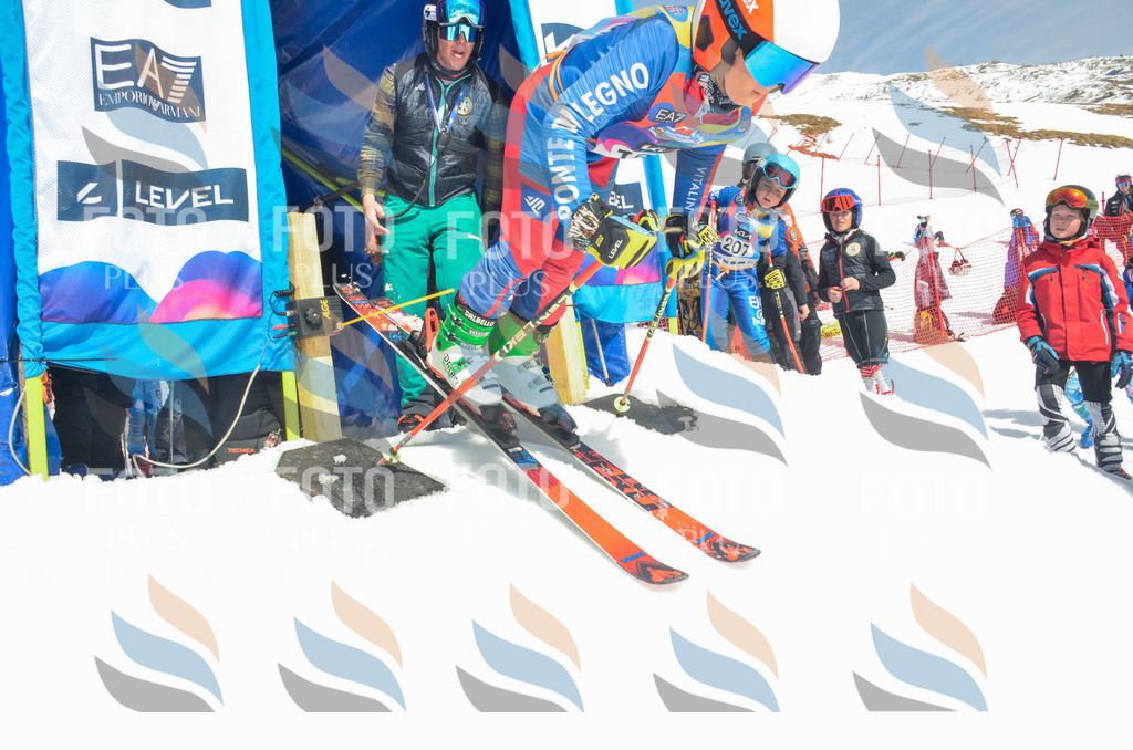 _ELE6450 | holidayphoto