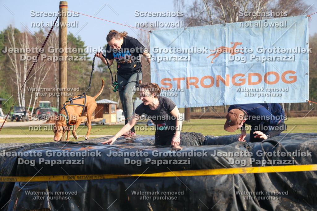 Dog Paparazzi - Strongdog North Mrz26-2407 | Dog Paparazzi Jeanette Grottendiek Fotografie & Videografie - Realisiert mit Pictrs.com
