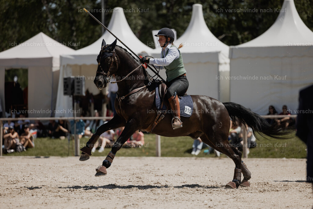 WE_SP_Stoib_315_PI2025_1859 | Pferd International München 2025