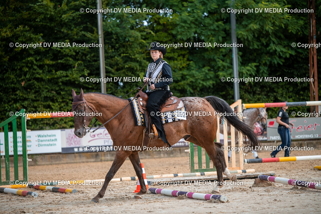 ZS3_9156 | dv-media-shop - Realisiert mit Pictrs.com