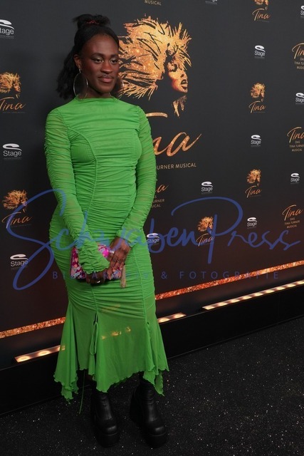 DSC03623 | Ivy Quainoo - Das Tina Turner Musica

Promis am roten Teppich beim Premierentag in Stuttgart. 

Deutschland, Stuttgart, Stage Apollo Theater, 16.03.2023