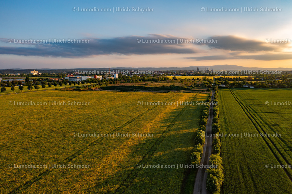 10049-51949 - Abendlicht über Halberstadt | Stockfoto und Bilderpool mit Bildmaterial aus Deutschland, dem Harz, Halberstadt, Quedlinburg, Wernigerode und weltweit. Qualitativ hochwertige und professionelle Fotos anschauen und kaufen. - Realisiert mit Pictrs.com