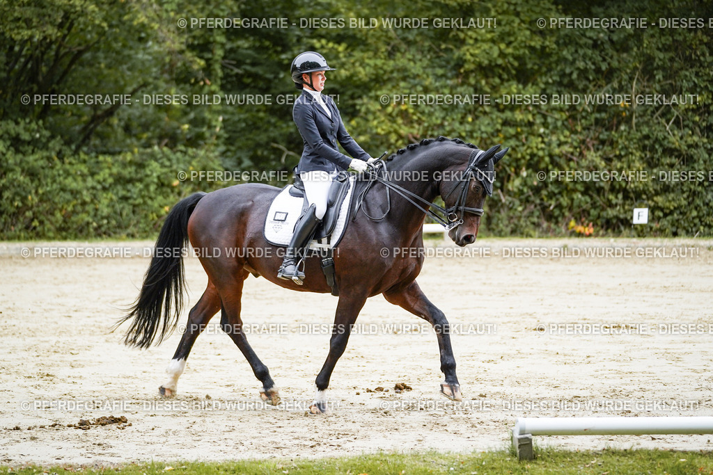 DSC09164 | Pferdegrafie