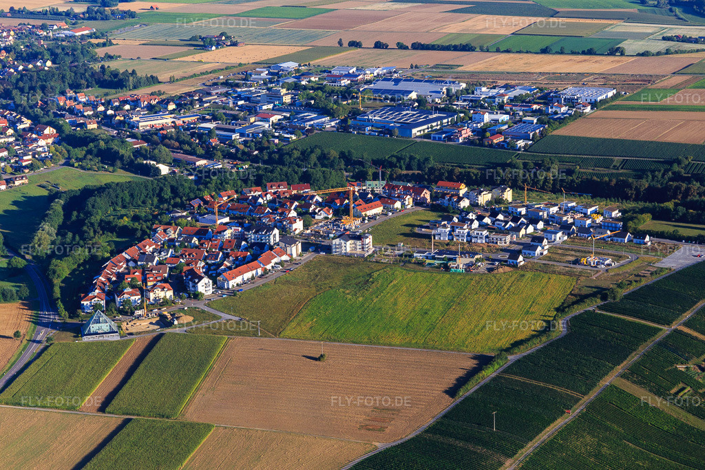 Luftbild: Schloßbergallee aus Südosten in Bönnigheim im Bundesland Baden-Württemberg in Deutschland. Foto: IMG_093812.jpg vom 23.08.2016 durch Werner Riehm/FLY-FOTO.de
