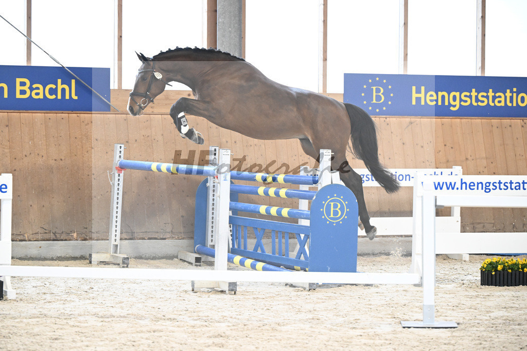 Kat-Nr. 8 nn v. Vigaro_Rau_5251224 | hf-fotografie - Realisiert mit Pictrs.com
