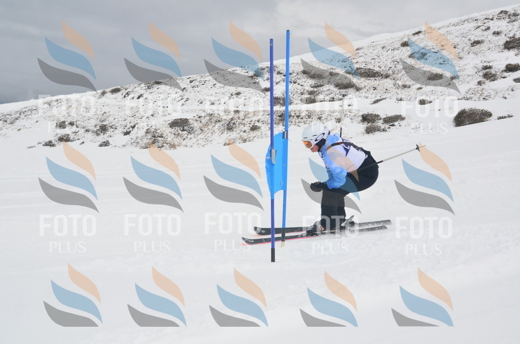 A5755 | holidayphoto