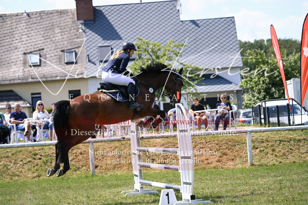 DSC_0241 | Pferde- und Turnierfotografie in Westsachsen. Pferdeportraits, Auftragszeichnungen und intuitive Kunst.