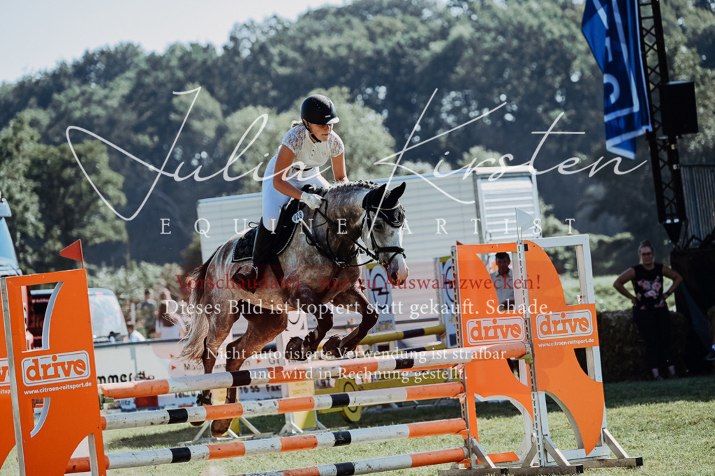 DSC_5517 | Pferde- und Turnierfotografie in Westsachsen. Pferdeportraits, Auftragszeichnungen und intuitive Kunst.