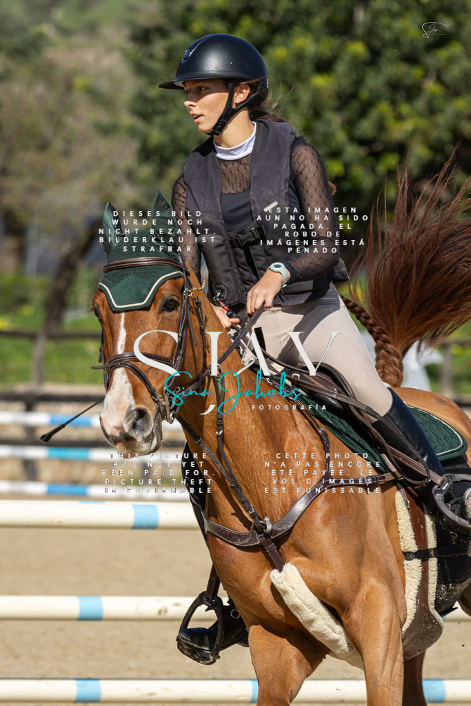 IMG_6523 | s-jay-photography - Realisiert mit Pictrs.com