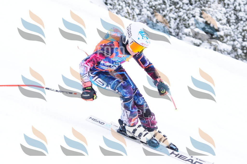 C4284 | holidayphoto