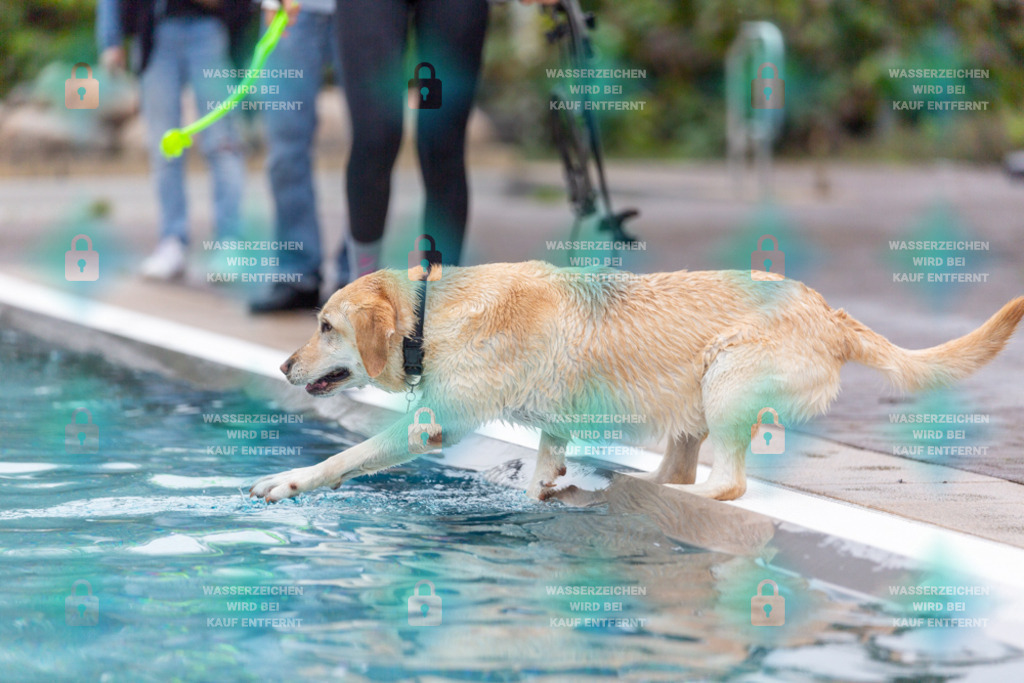 _HP_7136_1000o | HetPix, HetPix Fotodesign, Fotografie, Fotodesign, Webshop, Sportfotografie, Portraitfotografie, Onlineshop, Sportfotografie, Polch, Motorsportfotografie, Eventfotografie