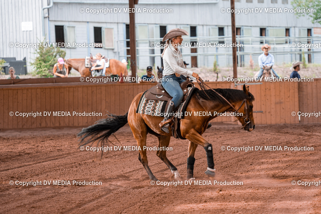 NE300707 | dv-media-shop - Realisiert mit Pictrs.com