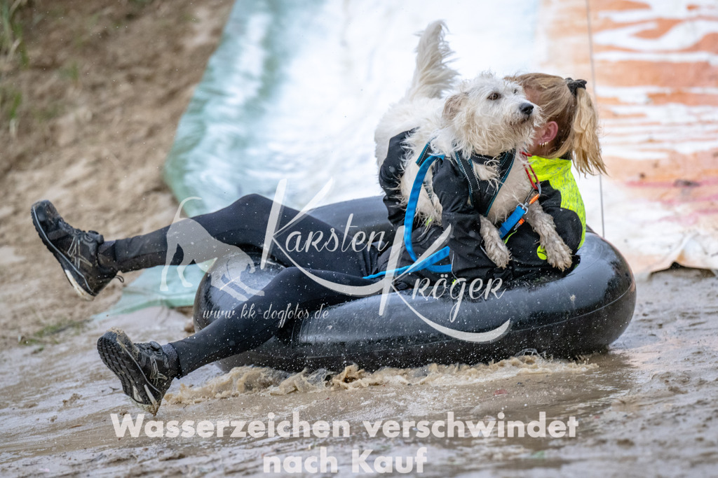 1537_ZZ90294 | kk-dogfotos