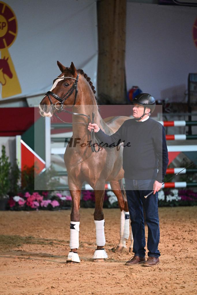 Don Diamond_1235075 | hf-fotografie - Realisiert mit Pictrs.com