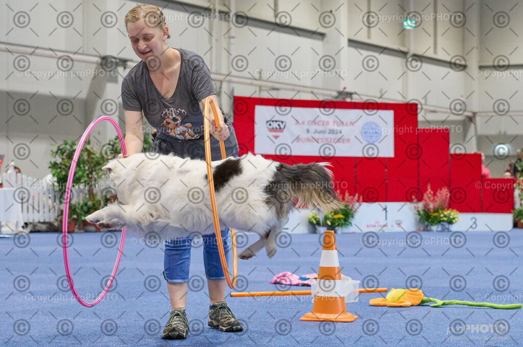 202406_ÖKV-IHA-Tulln24_DSC_4613 | proPHOTO - Realisiert mit Pictrs.com