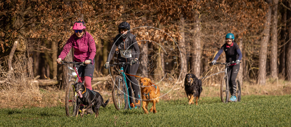 DV3A6113 | Hundefotografie, Tierfotograf, Pfotenfotografie, Fotoshooting Hund, Hunde Portrait, Hundesport, Hundeportraits, Heideshooting, Hunde, Sportfotograf, Hundefotograf, Turnierhundsport, THS,  - Realisiert mit Pictrs.com