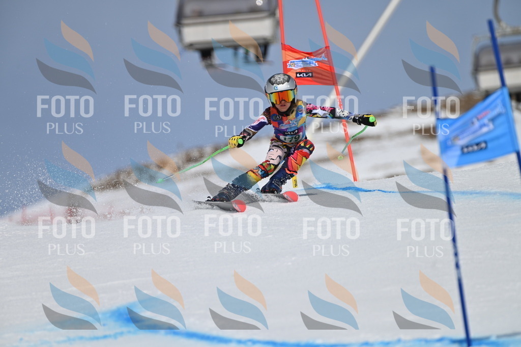 BGV_3515 | holidayphoto