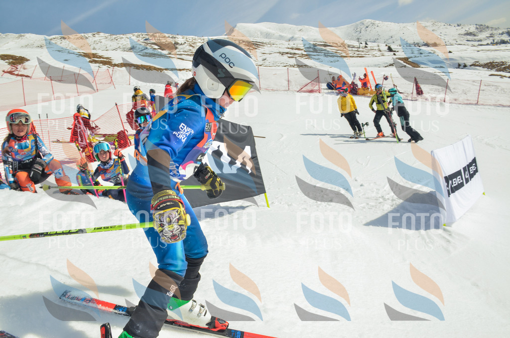 _ELE5187 | holidayphoto