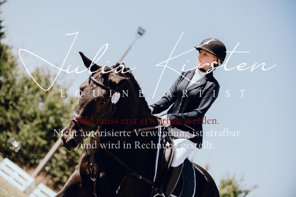 DSC_7203 | Pferde- und Turnierfotografie in Westsachsen. Pferdeportraits, Auftragszeichnungen und intuitive Kunst.