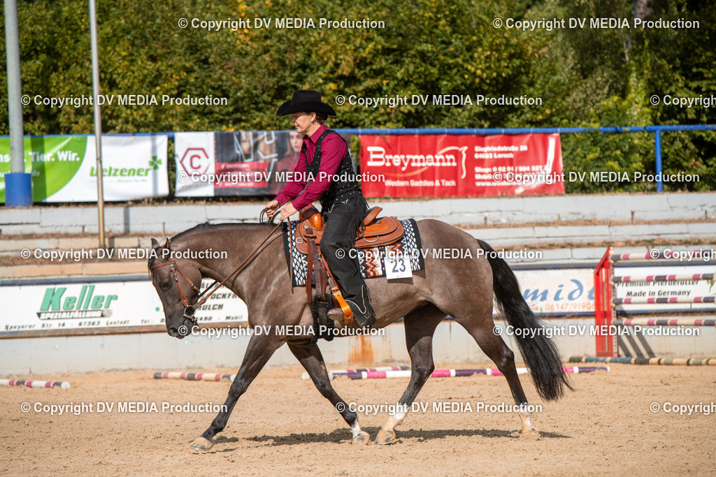 EWP_5815 | dv-media-shop - Realisiert mit Pictrs.com