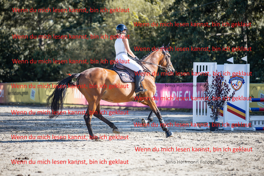 BK1A7268 | Turnierbilder Turnierfotos Nina Hüffmann Turnierfotografie Pferdefotografie Tierzeichnung Haustierzeichnung Pferdezeichnung Hundezeichnung Videograf  - Realisiert mit Pictrs.com