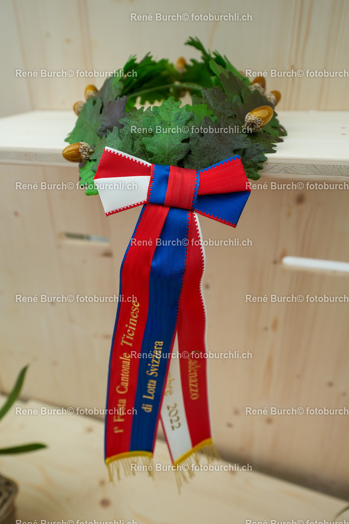 DSC09130 | René Burch leidenschaftlicher Fotograf aus Kerns in Obwalden.  Hier finden sie Sport, Landschaft und Natur Fotografie.
 - Realisiert mit Pictrs.com