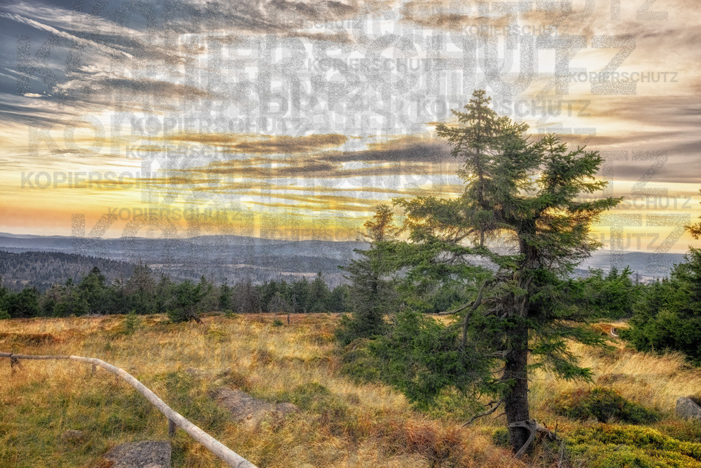 Abendliche Stimmung auf dem Brocken-Harz-Sachsen Anhalt II | Diffus schient die Sonne mit minderer Kraft durch die tief hängenden Wolken.  - Realisiert mit Pictrs.com