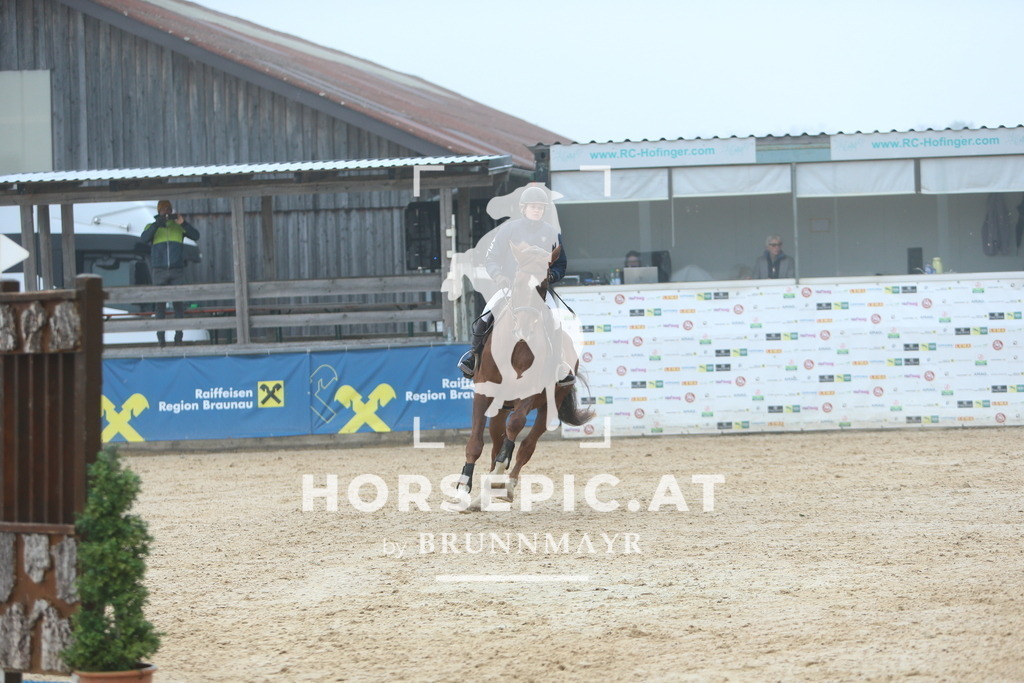 DL2Q8429 | Willkommen bei Brunnmayr - Design & Fotografie – Ihrem Spezialisten für Reitturniere und Pferdeveranstaltungen in Oberösterreich, Salzburg und Bayern! Seit über 17 Jahren sind wir leidenschaftlich dabei.