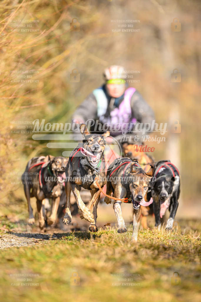MompixPhotography_Schwabentrail2025_SO_Kart-7 | PayLife