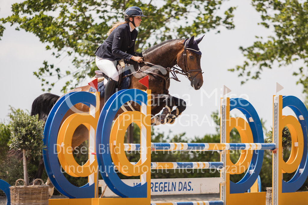 230616_Lemwerder_Springpf-L2-655 | Deine schönsten Turniermomente als professionelle Fotos! Entdecke hochwertige Pferdesport-Fotografie im Online-Shop. Jetzt Fotos finden & bestellen!