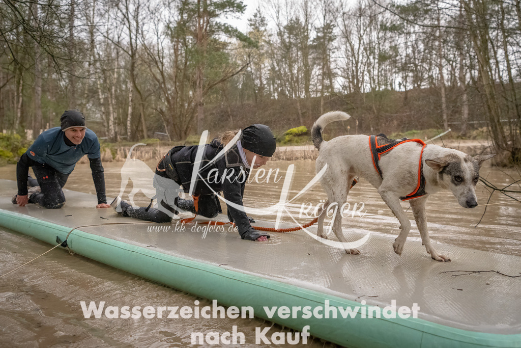 1059_ZZ94010-Bearbeitet | kk-dogfotos