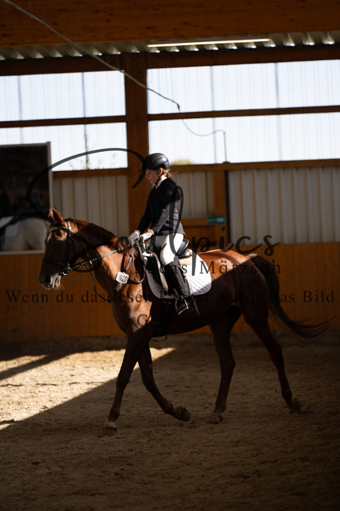 A7V02065 | Turnier/Reitfotograf