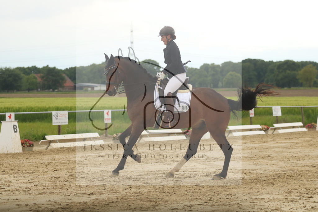 IMG_7735 | jessicahollubetz_pferdephotographie - Realisiert mit Pictrs.com