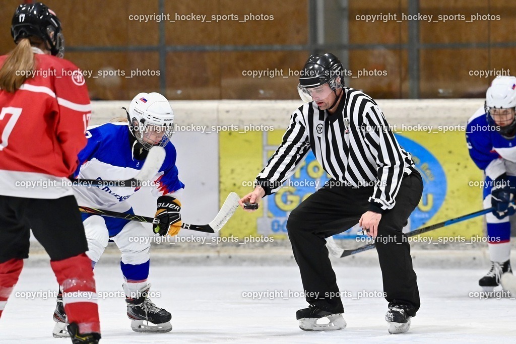 BST_3670 | hockey sports photos, Pressefotos, Sportfotos, hockey247, win 2day icehockeyleague, Handball Austria, Floorball Austria, ÖVV, Kärntner Eishockeyverband, KEHV, KFV, Kärntner Fussballverband, Österreichischer Volleyballverband, Alps Hockey League, ÖFB, 