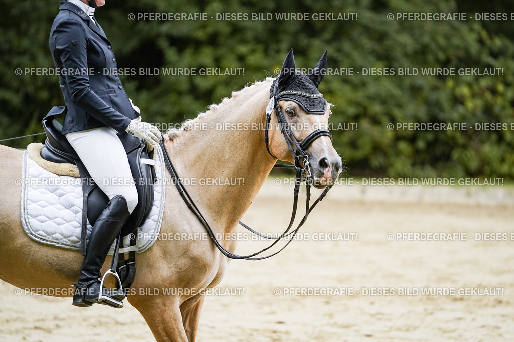 DSC09073 | Pferdegrafie