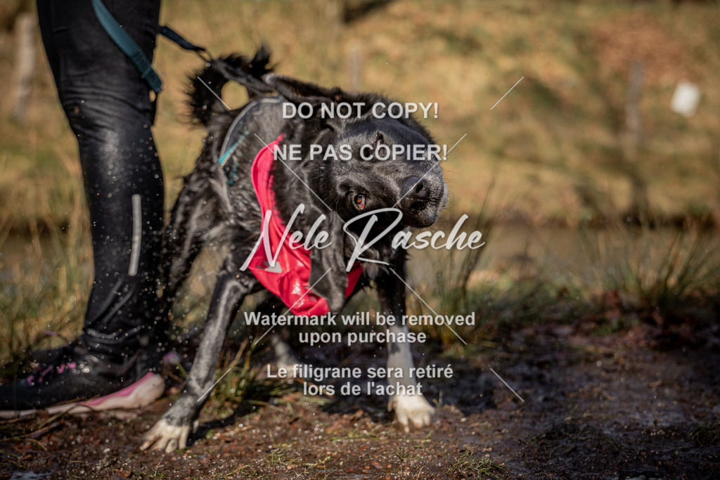 nelerasche_FS1330-1400_118 | nelerasche