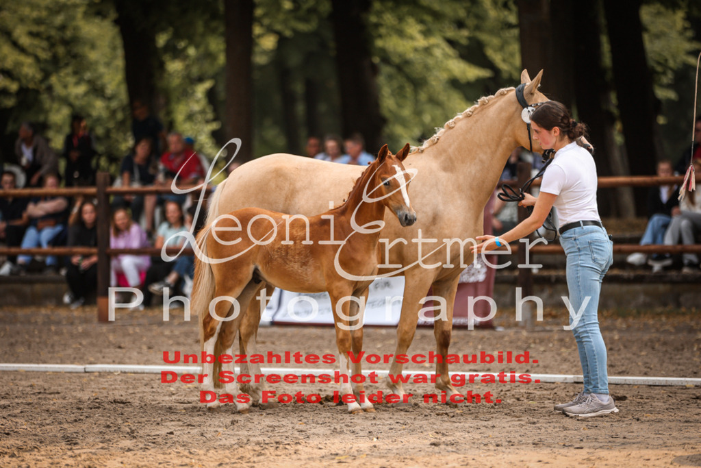 SaFohlen00260 | Leoni Ertmer Photography - Realisiert mit Pictrs.com