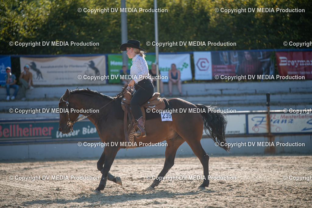 EWP_7089 | dv-media-shop - Realisiert mit Pictrs.com