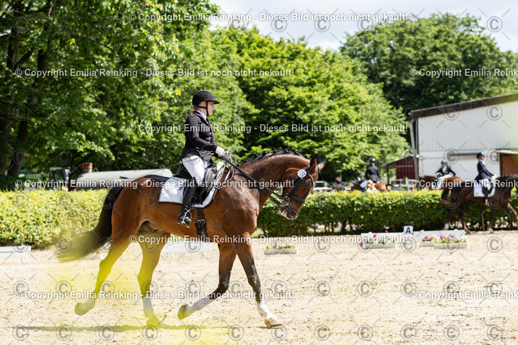 CL5A8601 | Emilia Reinking Fotografie - Realisiert mit Pictrs.com